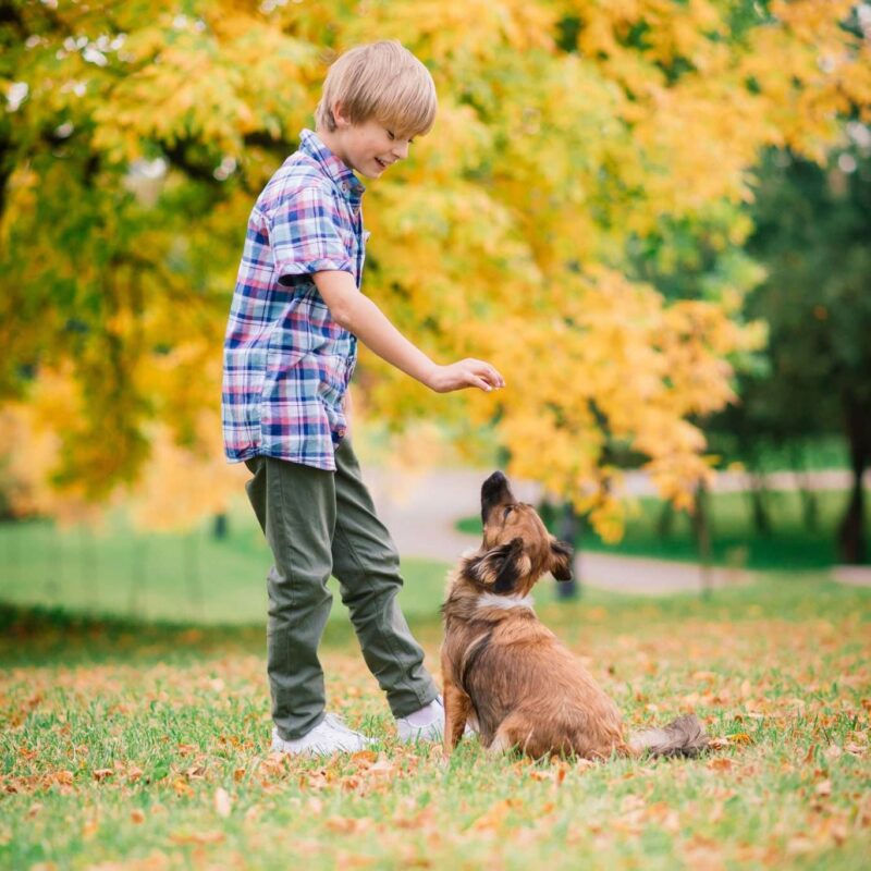 ovanes81201100072 2048x1367 1